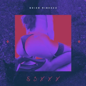 S3xxx by Boier Bibescu