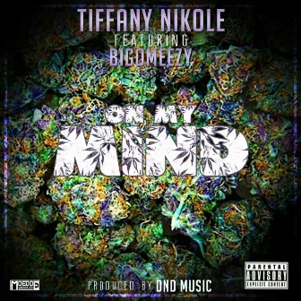 On My Mind (feat. Big O Meezy) by Tiffany Nikole