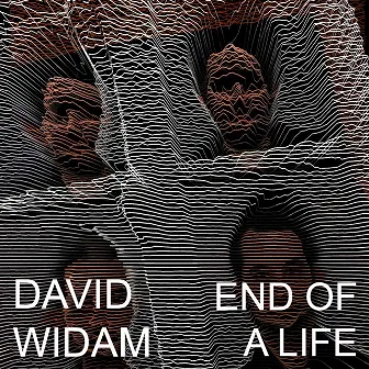 End of a Life by David Widam