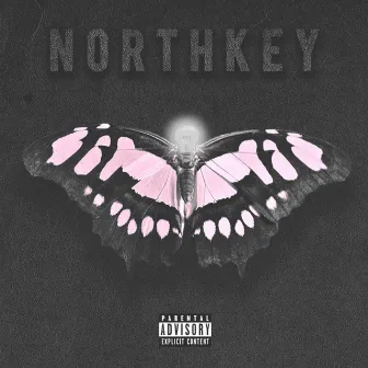 Simbiosis by Northkey