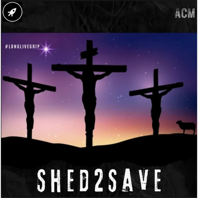 Shed 2 Save