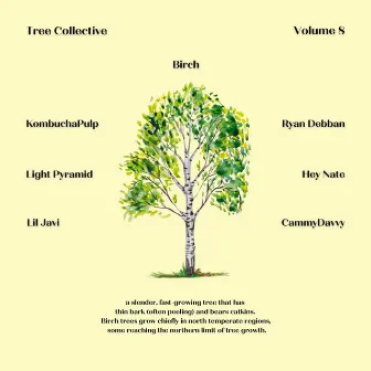 Volume 8: Birch by Tree Collective