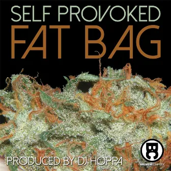 Fat Bag of Weed by Self Provoked