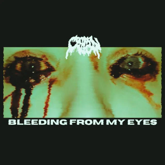 Bleeding From My Eyes - Demo '22