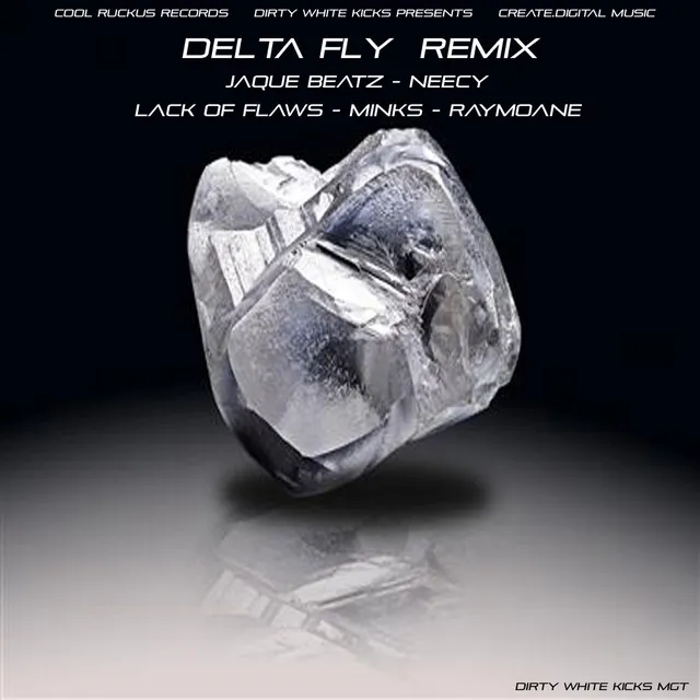 Delta Fly - Dirty White Kicks Remix