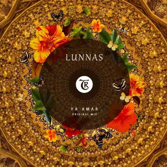 Ya Amar by Lunnas