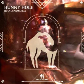 Bunny Hole by HusnuCanMarley