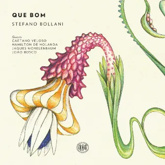 Que Bom by Stefano Bollani