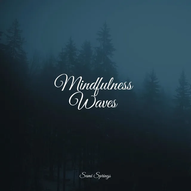 Mindfulness Waves