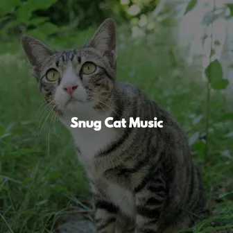 Snug Cat Music by Sunday Morning Jazz Lounge