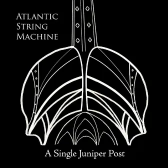 A Single Juniper Post by Atlantic String Machine