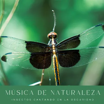 Música De Naturaleza: Insectos Cantando En La Oscuridad by Mejores Sonidos ASMR