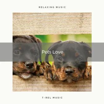 2021 Pets Love by Dog Relax