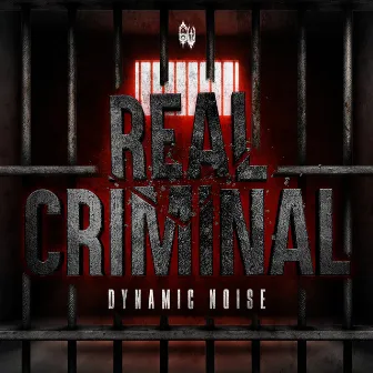 REAL CRIMINAL by Dynamic Noise