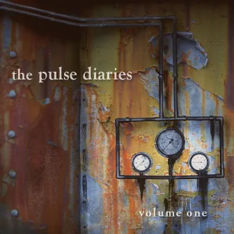 The Pulse Diaries, Vol. 1 by The Pulse Diaries