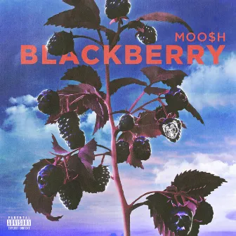 Blackberry by MOO$H