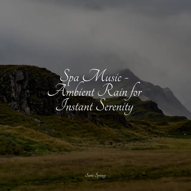 Spa Music - Ambient Rain for Instant Serenity