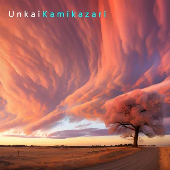 Kamikazari by Unkai