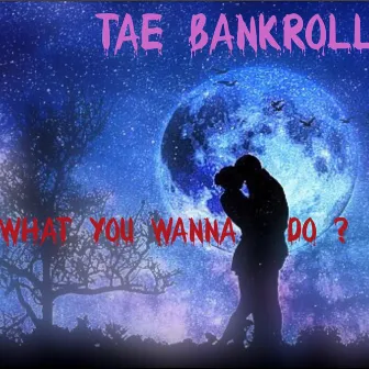 What You Wanna Do ? by Tae Bankroll