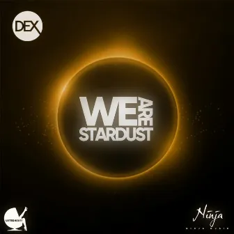 We Are Stardust by Dex