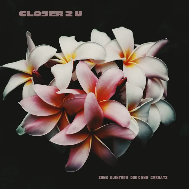 Closer 2 U (feat. Deo Cane & GMBEATZ)