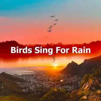 Birds Sing For Rain by Unknown Artist