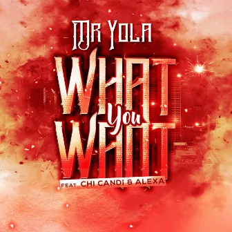 What You Want by Mr Yola