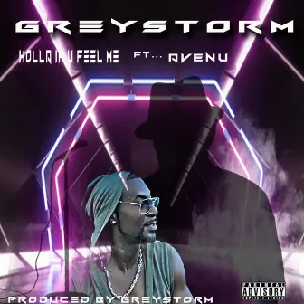 Holla If U Feel Me by Greystorm