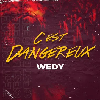 C'est dangereux by Wedy