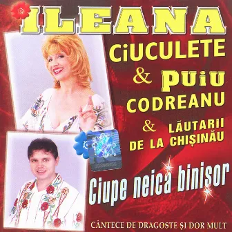 Ciupe neică binișor by Ileana Ciuculete