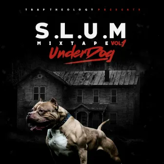 S.L.U.M., Vol. 1: Underdog by Plain James