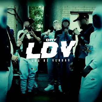 LDV by Dry