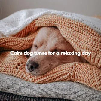 Calm dog tunes for a relaxing day by Música para Cocinar