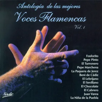 Antología de las Mejores Voces Flamencas Vol. 1 (Remasterizado) by Pepe Marchena