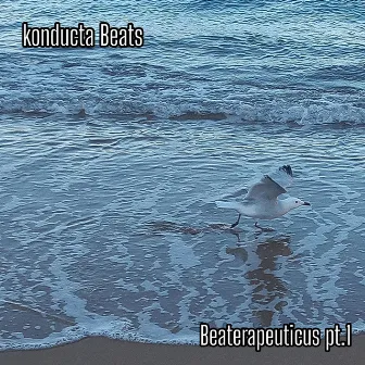 Beaterapeuticus pt.1 by Konducta Beats