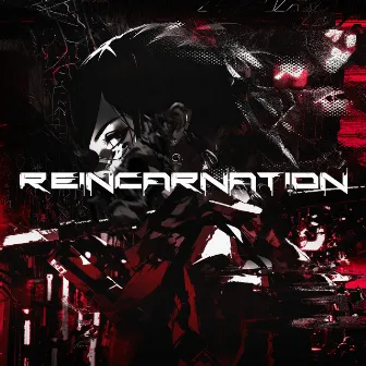 Reincarnation by Ninja 750R