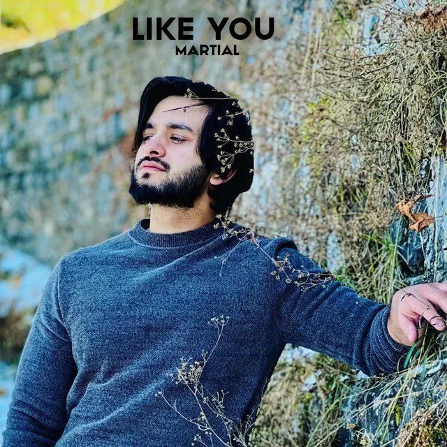 Like You