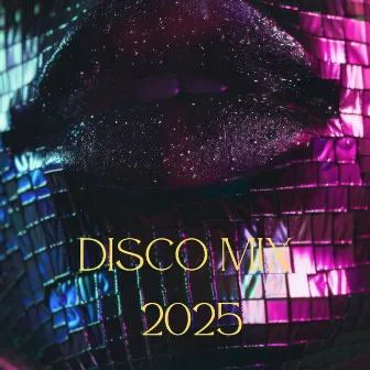 Disco Mix 2025 by Dj Disco Mix