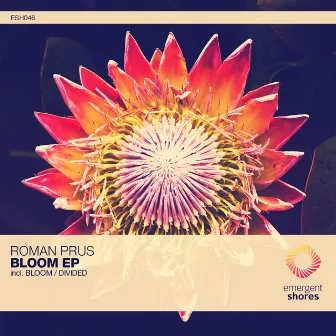 Bloom / Divided by Roman Prus