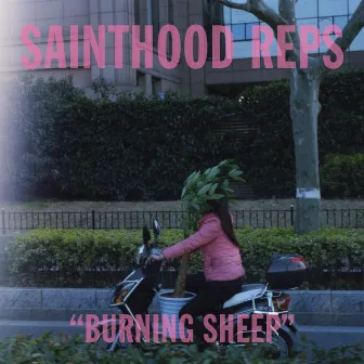 Burning Sheep by Sainthood Reps