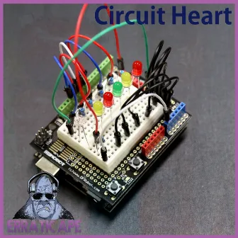 Circuit Heart by Erratic Ape