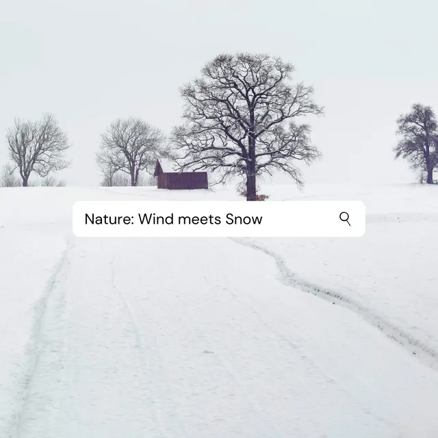 Winter Nature Sound