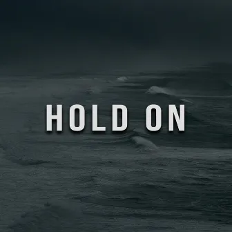 Hold On by Robert Firth