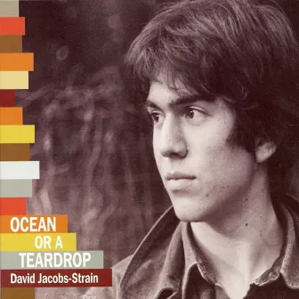 Ocean or a Teardrop by David Jacobs-Strain