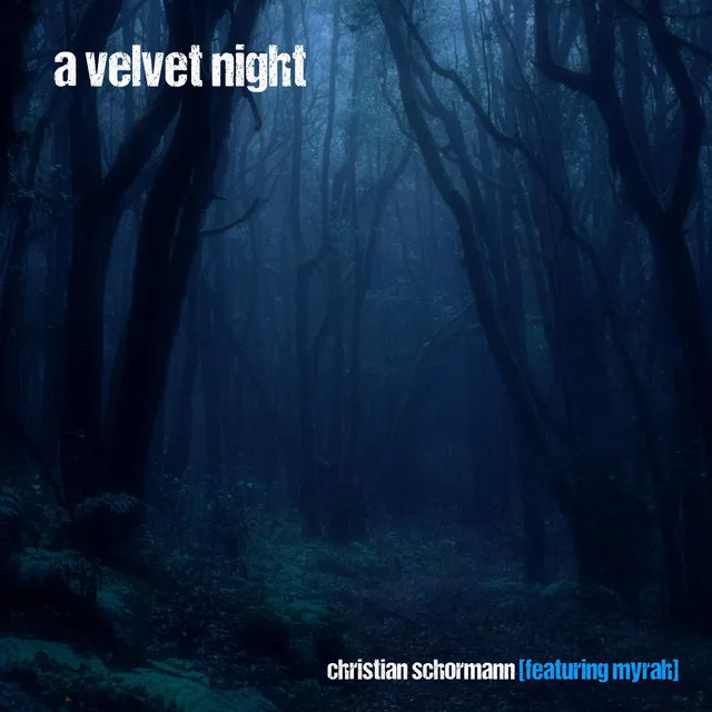 A Velvet Night