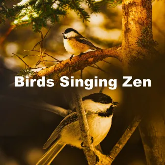 Birds Singing Zen by Bird and Nature Sounds