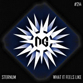 What It Feels Like by Sternum