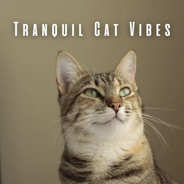 Tranquil Cat Vibes: Chill Music for Calm and Serenity