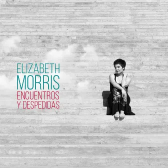 Encuentros y Despedidas by Elizabeth Morris