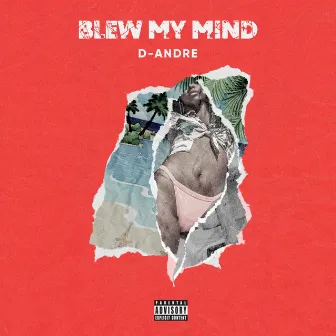 Blew My Mind by D-Andre